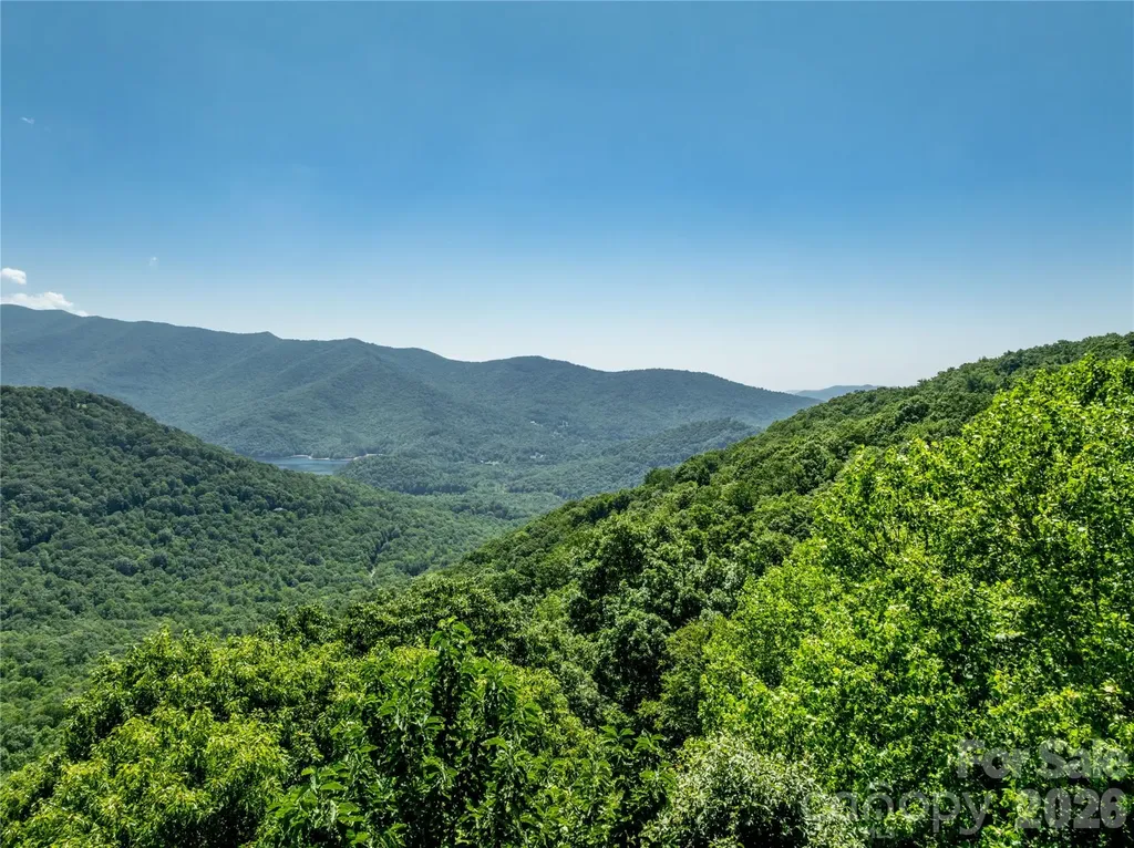8 White Birch Court Black Mountain NC 28711