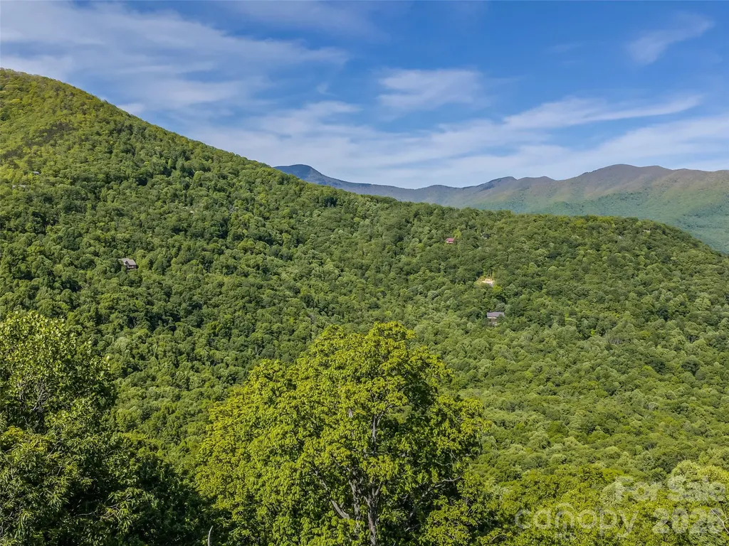 8 White Birch Court Black Mountain NC 28711