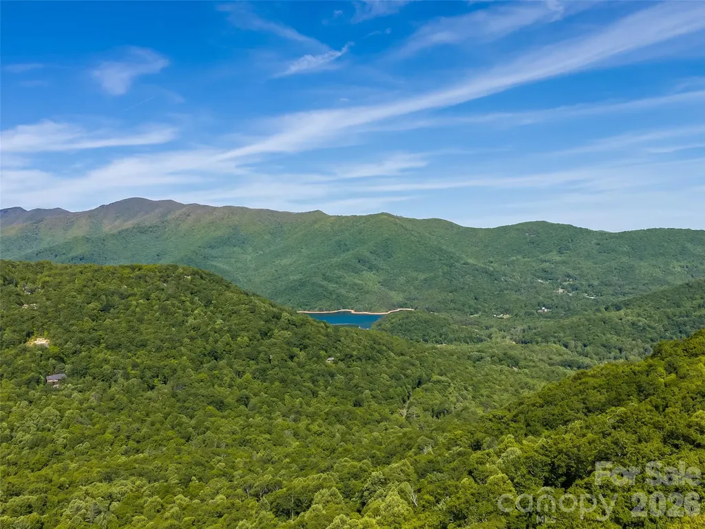 8 White Birch Court Black Mountain NC 28711