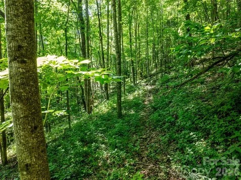 8 White Birch Court Black Mountain NC 28711