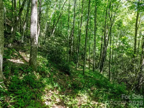 8 White Birch Court Black Mountain NC 28711