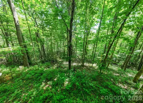 8 White Birch Court Black Mountain NC 28711