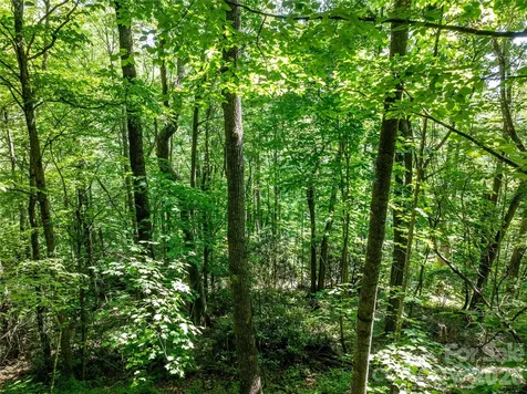 8 White Birch Court Black Mountain NC 28711