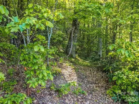 8 White Birch Court Black Mountain NC 28711