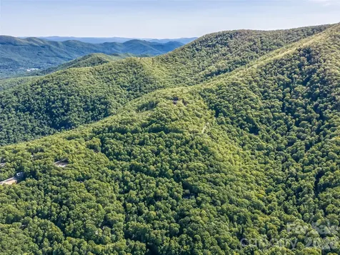 8 White Birch Court Black Mountain NC 28711