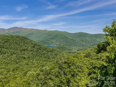 8 White Birch Court Black Mountain NC 28711