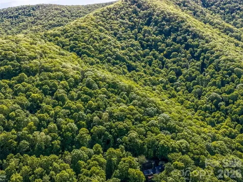 8 White Birch Court Black Mountain NC 28711