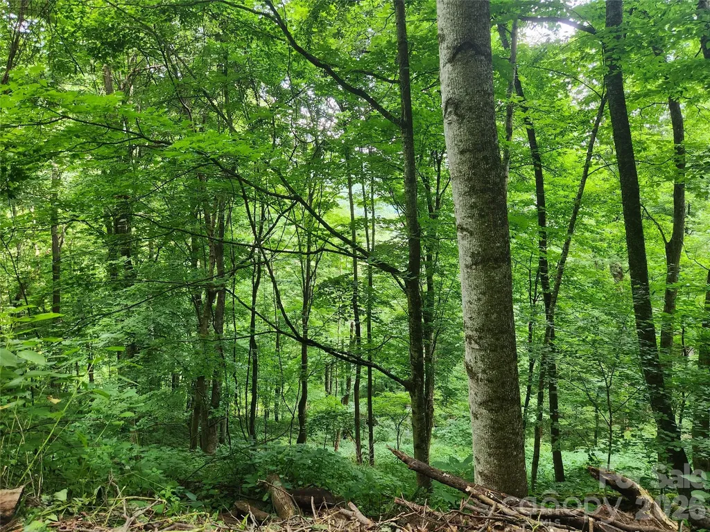 0000 Jacks Knob Road Weaverville NC 28787
