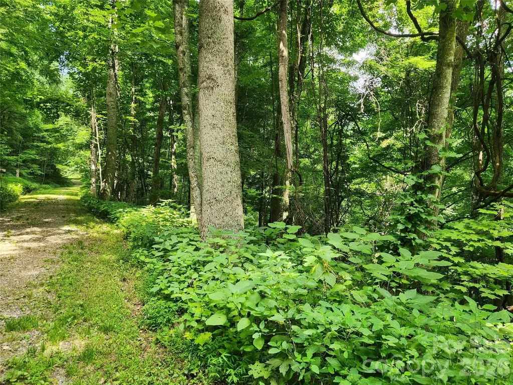 0000 Jacks Knob Road Weaverville NC 28787