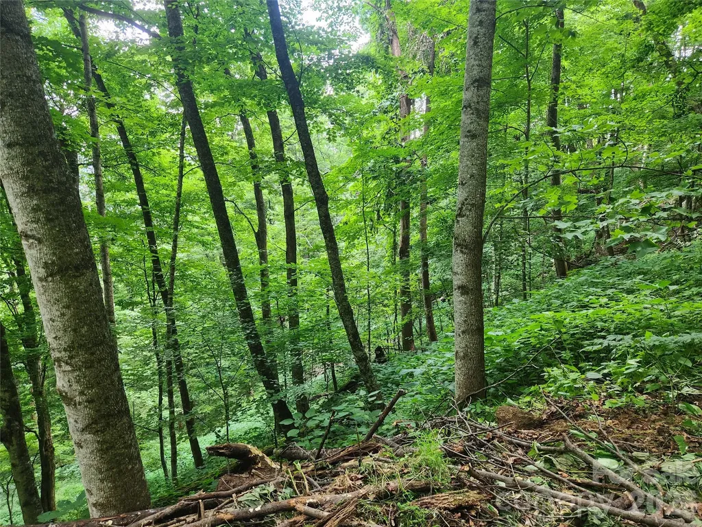 0000 Jacks Knob Road Weaverville NC 28787