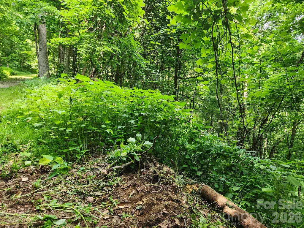 0000 Jacks Knob Road Weaverville NC 28787