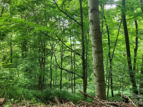 0000 Jacks Knob Road Weaverville NC 28787
