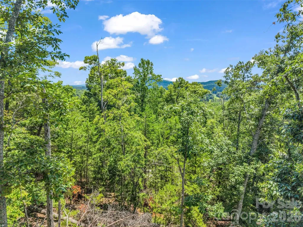 0 Matho Trace Lake Lure NC 28746