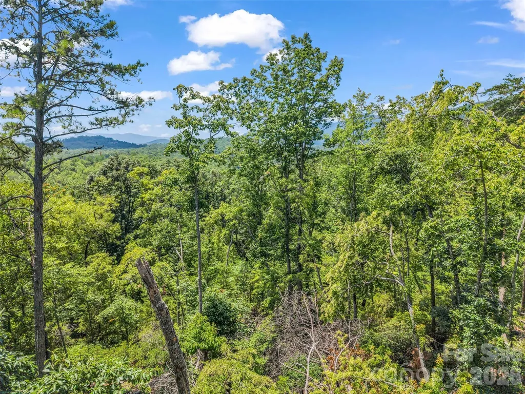 0 Matho Trace Lake Lure NC 28746
