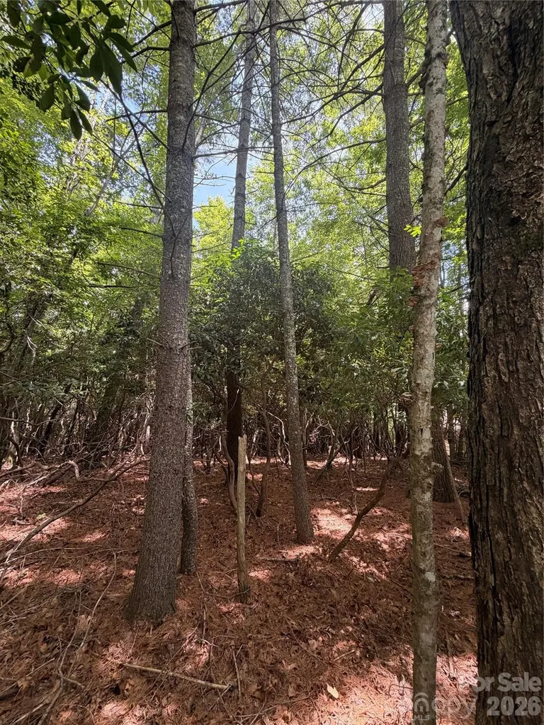 Tbd Dvga Court Brevard NC 28712