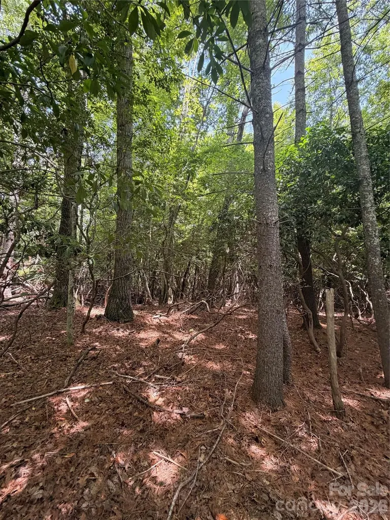 Tbd Dvga Court Brevard NC 28712