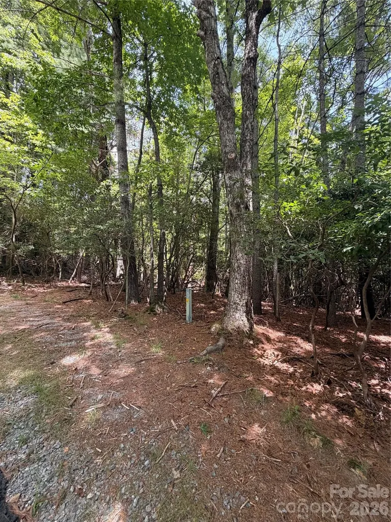 Tbd Dvga Court Brevard NC 28712