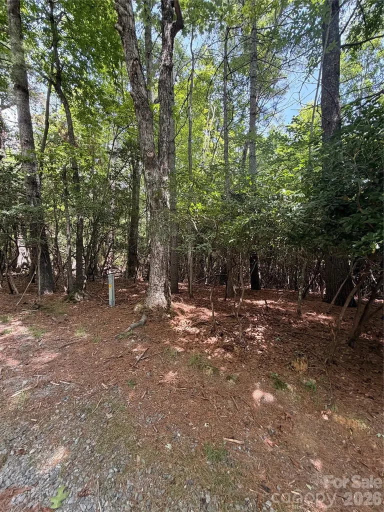 Tbd Dvga Court Brevard NC 28712