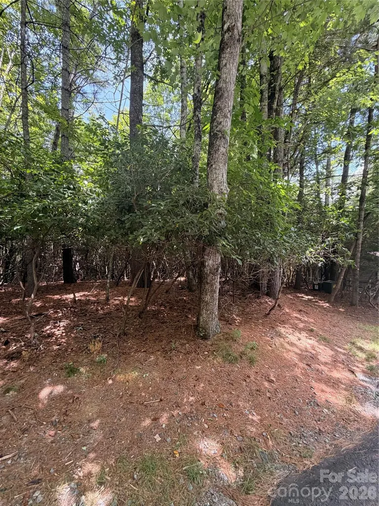 Tbd Dvga Court Brevard NC 28712