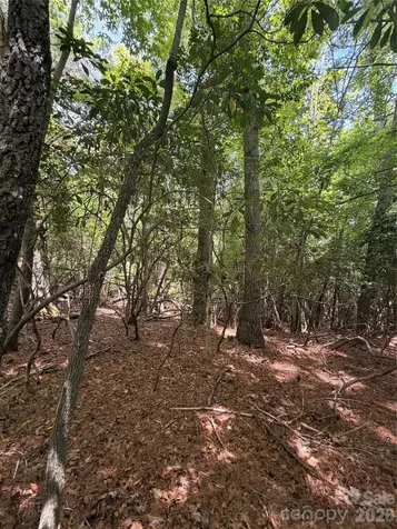 Tbd Dvga Court Brevard NC 28712