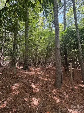 Tbd Dvga Court Brevard NC 28712