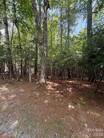Tbd Dvga Court Brevard NC 28712