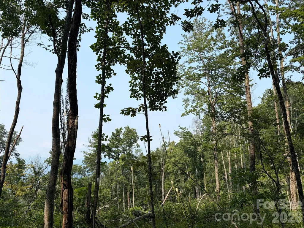 000 Catbrier Lane Burnsville NC 28714