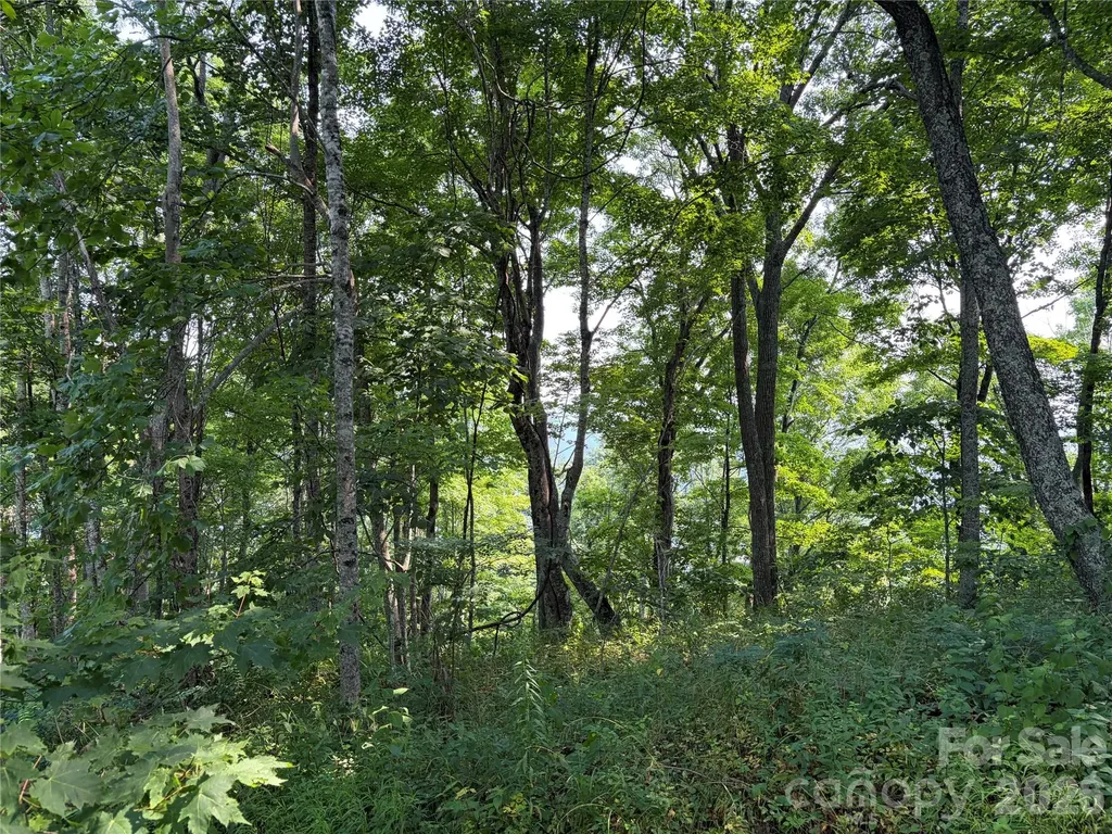 000 Catbrier Lane Burnsville NC 28714