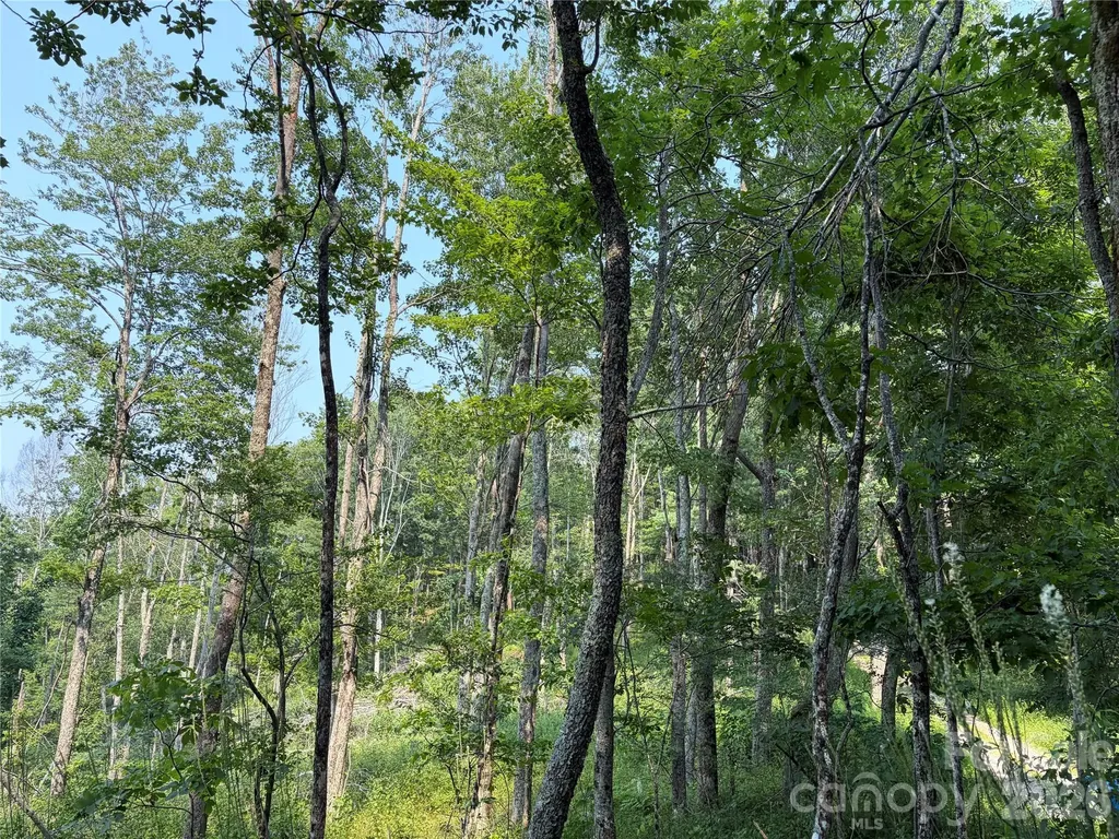 000 Catbrier Lane Burnsville NC 28714
