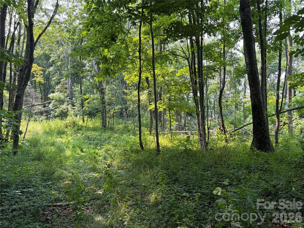 000 Catbrier Lane Burnsville NC 28714