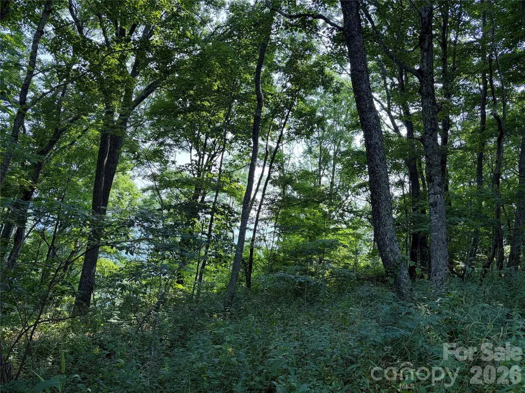 000 Catbrier Lane Burnsville NC 28714