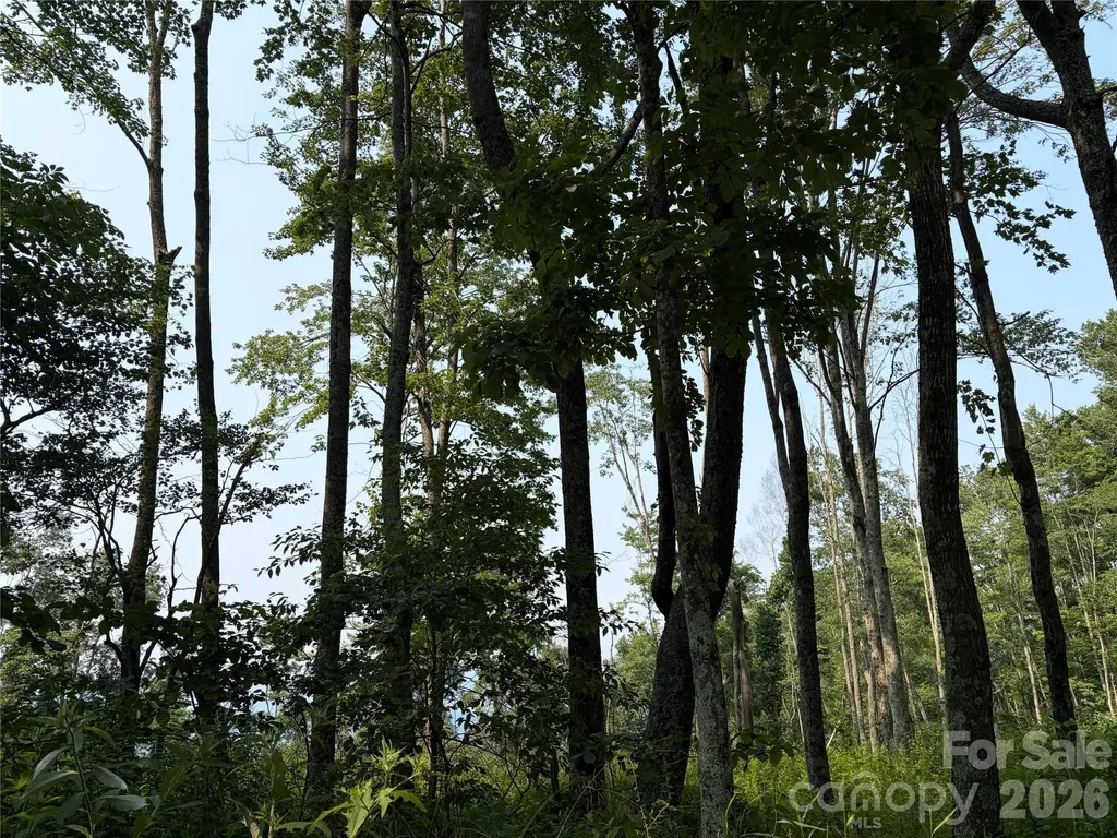 000 Catbrier Lane Burnsville NC 28714