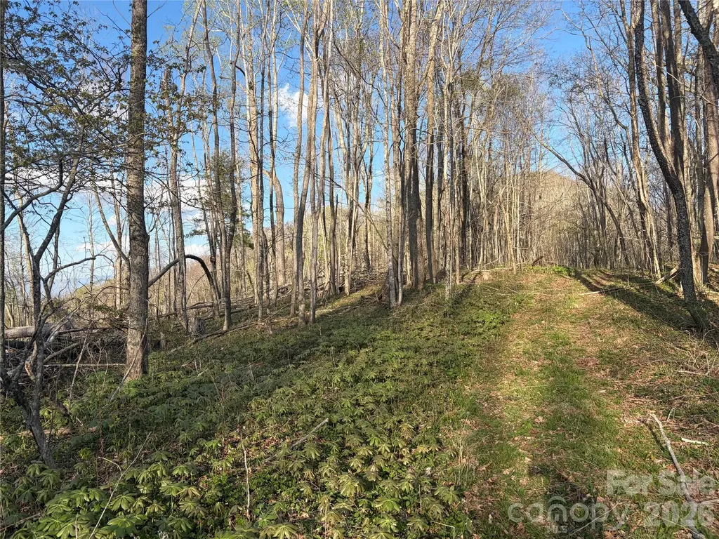 000 Catbrier Lane Burnsville NC 28714