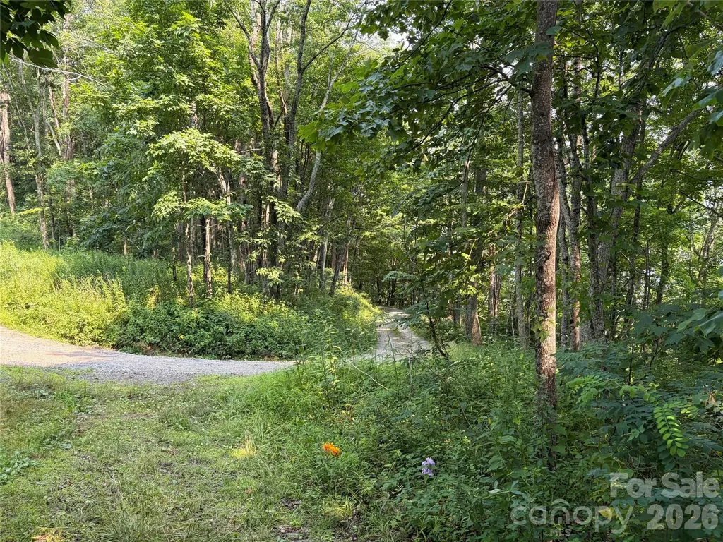 000 Catbrier Lane Burnsville NC 28714