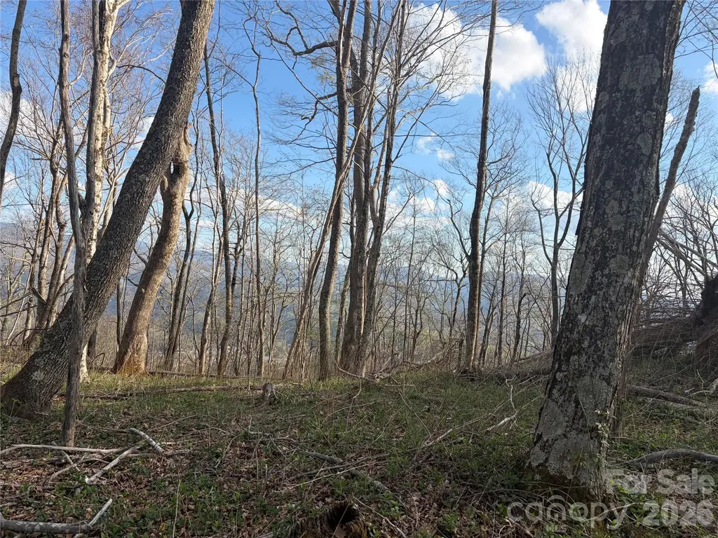 000 Catbrier Lane Burnsville NC 28714