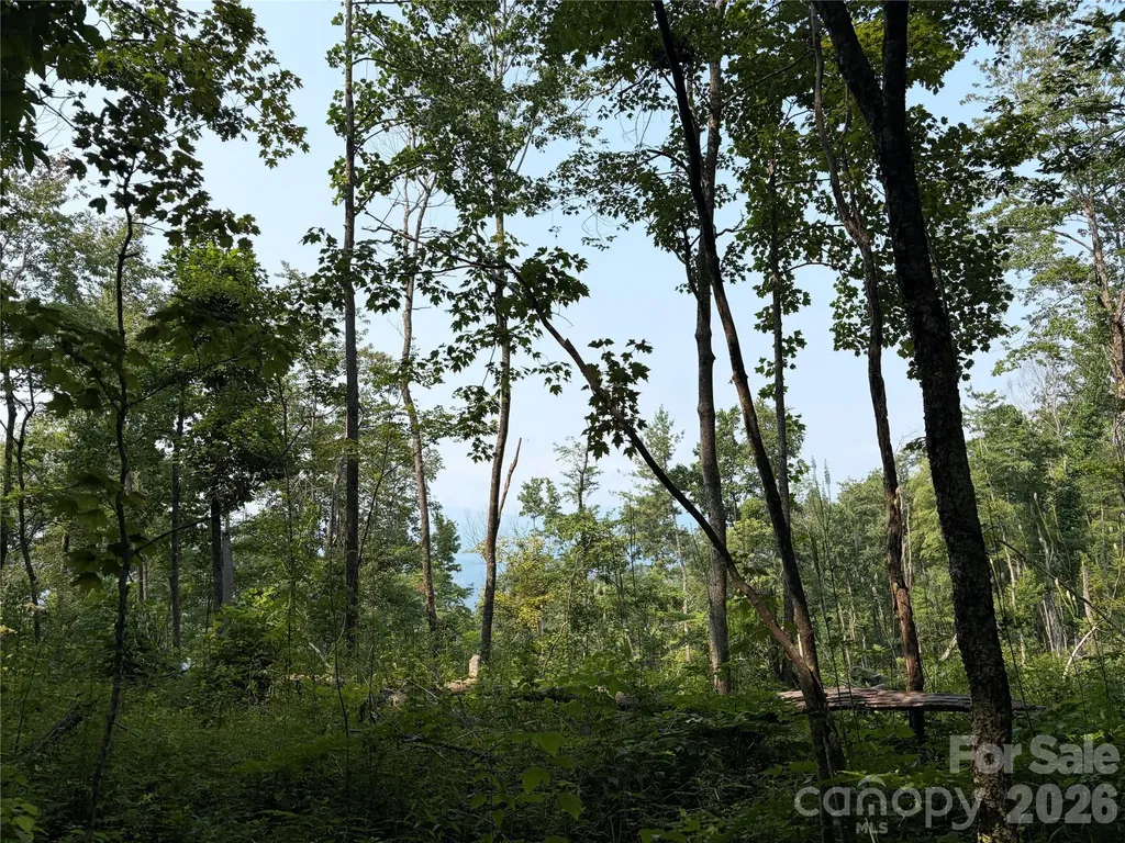 000 Catbrier Lane Burnsville NC 28714