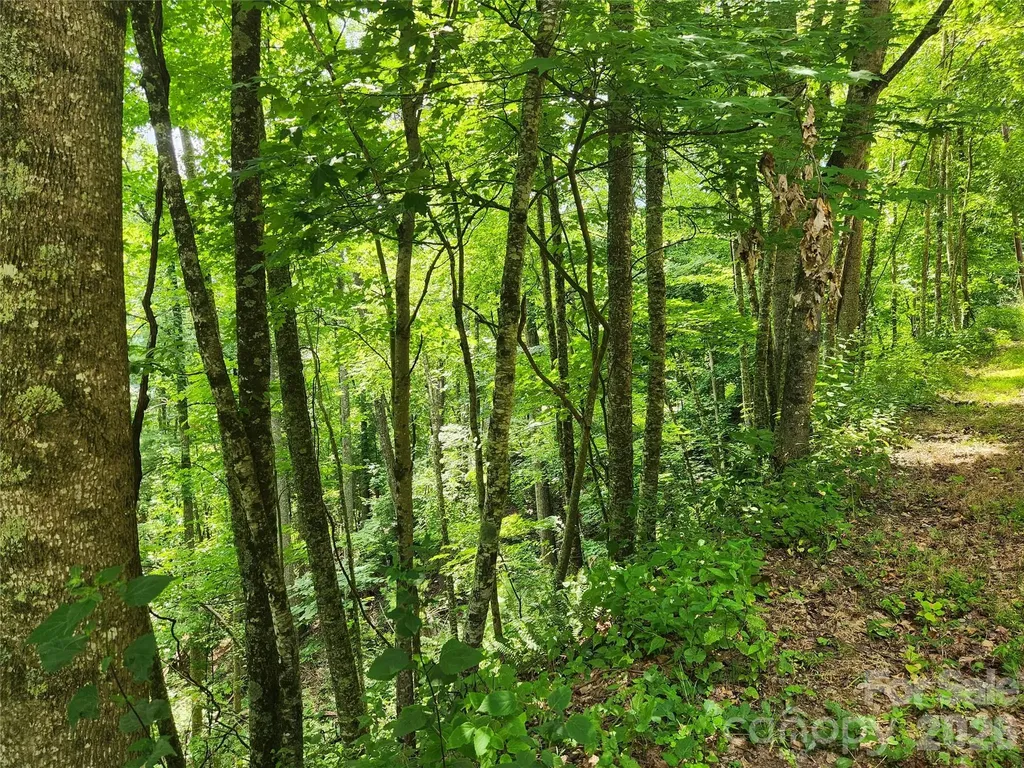 00 Green Ridge Falls Road Weaverville NC 28787