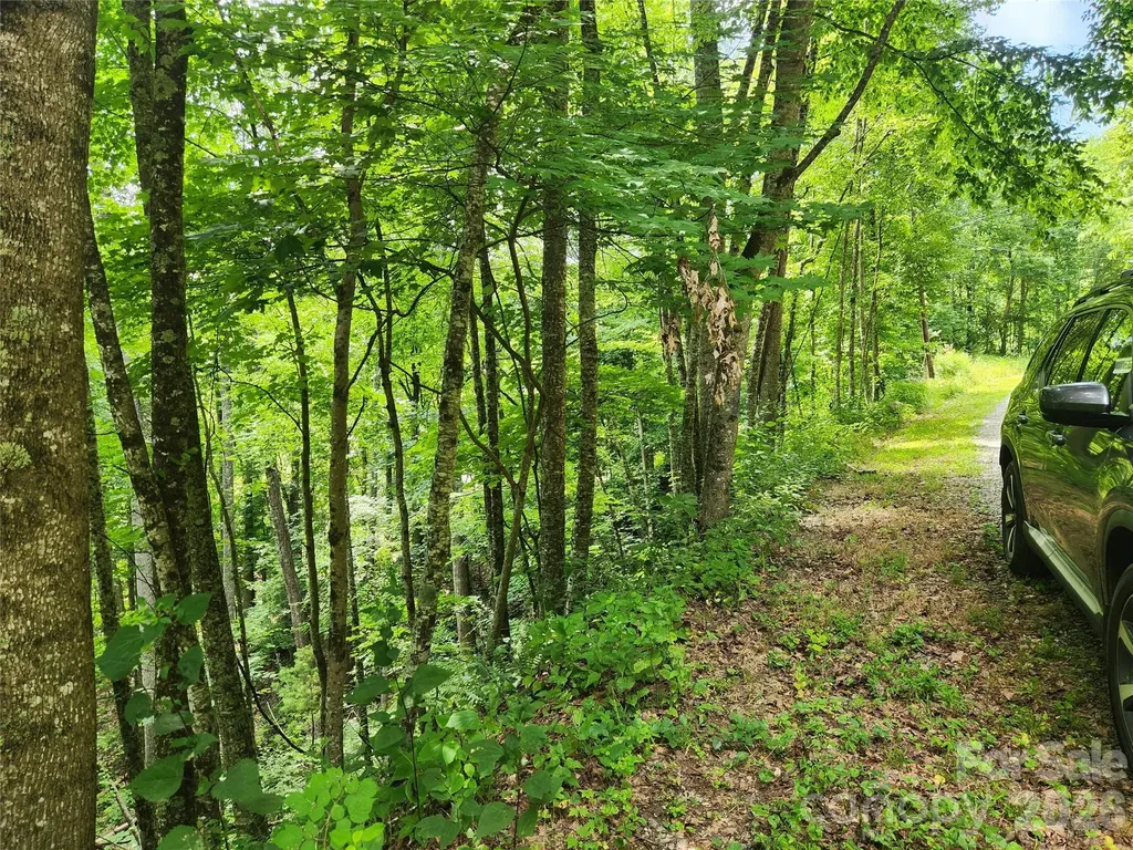 00 Green Ridge Falls Road Weaverville NC 28787