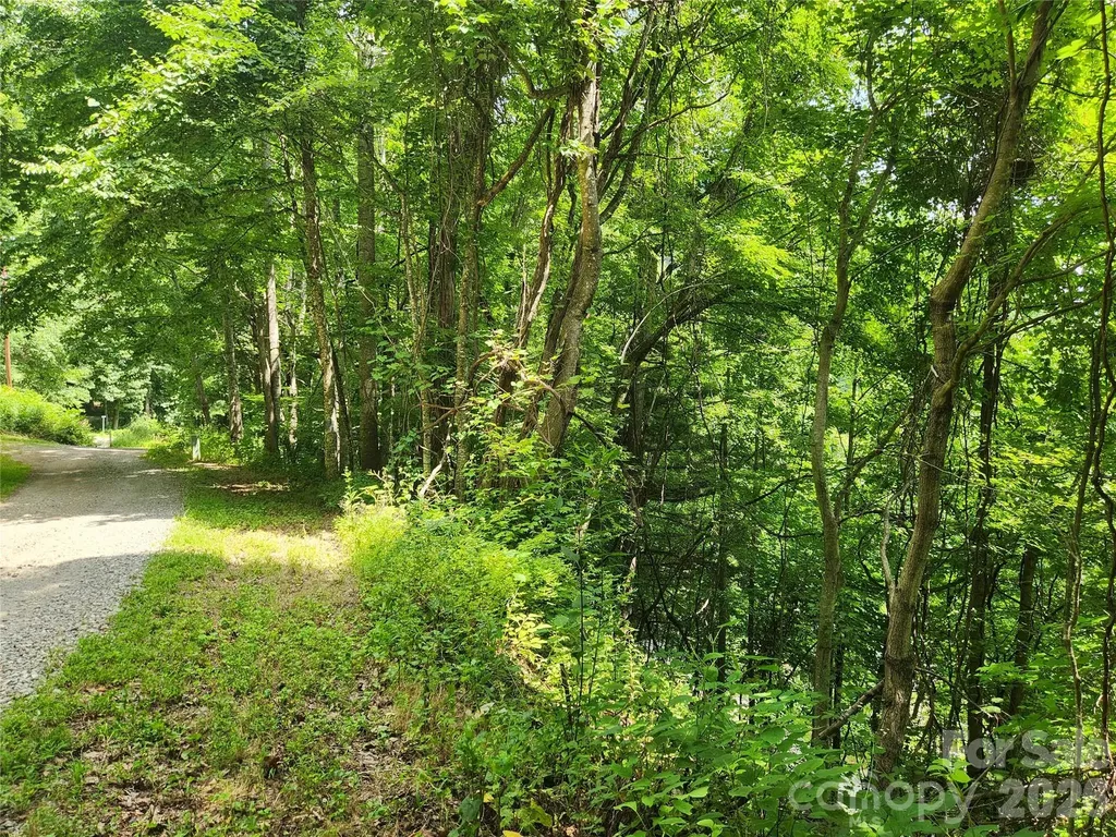 00 Green Ridge Falls Road Weaverville NC 28787