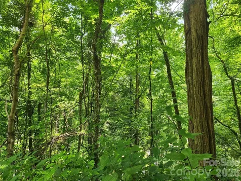 00 Green Ridge Falls Road Weaverville NC 28787