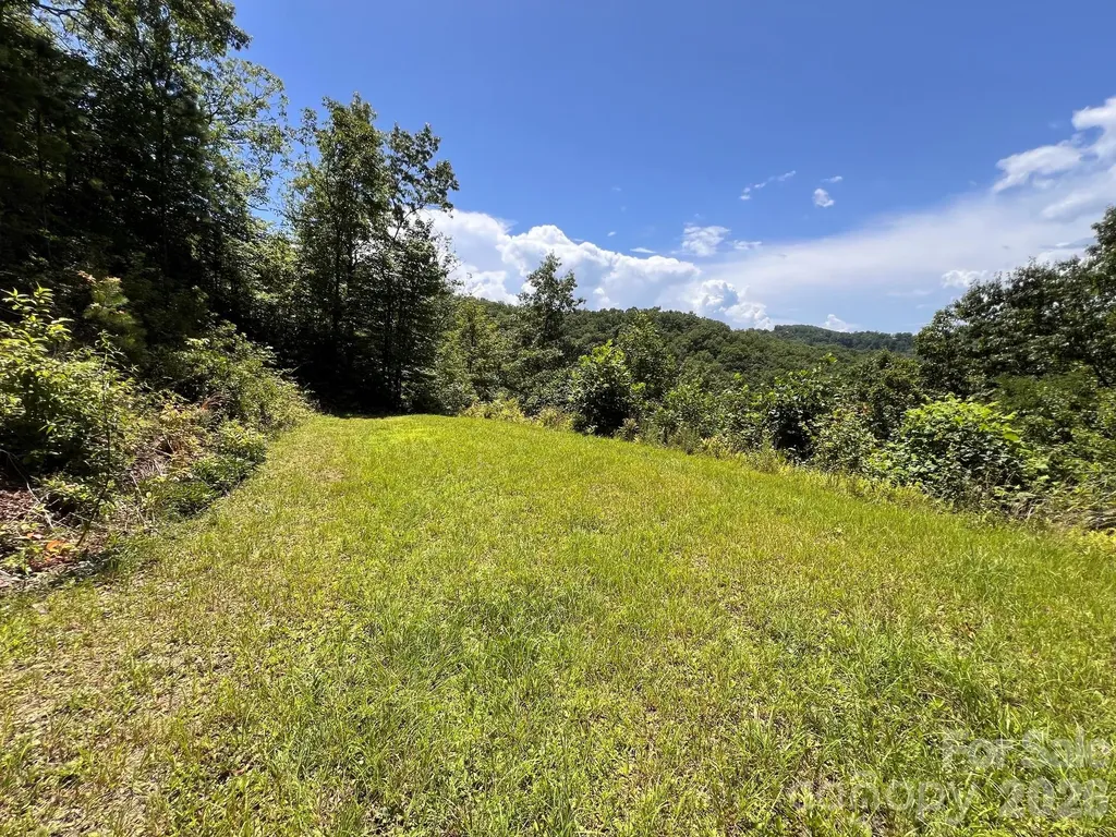 Lot 14 Fontana Ridge Road Bryson City NC 28713