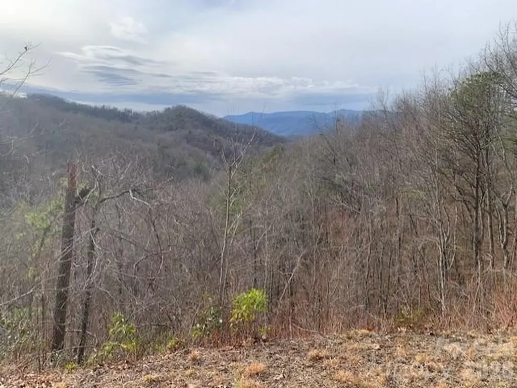 Lot 14 Fontana Ridge Road Bryson City NC 28713