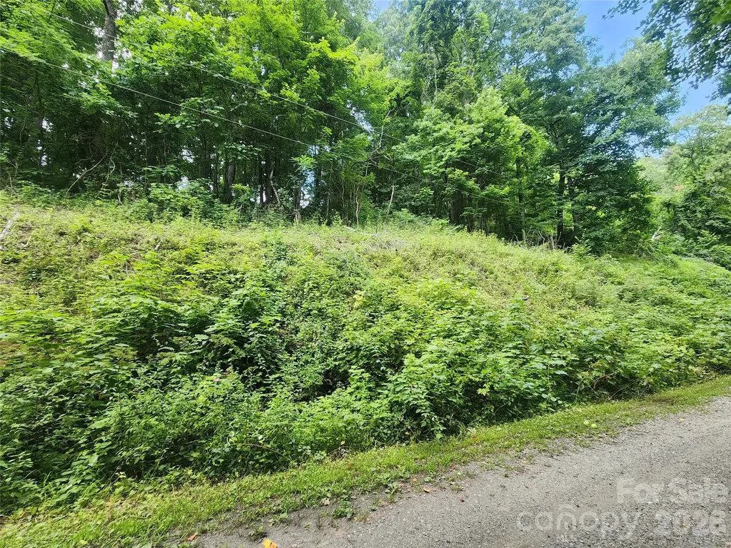 000 Jacks Knob Road Weaverville NC 28787