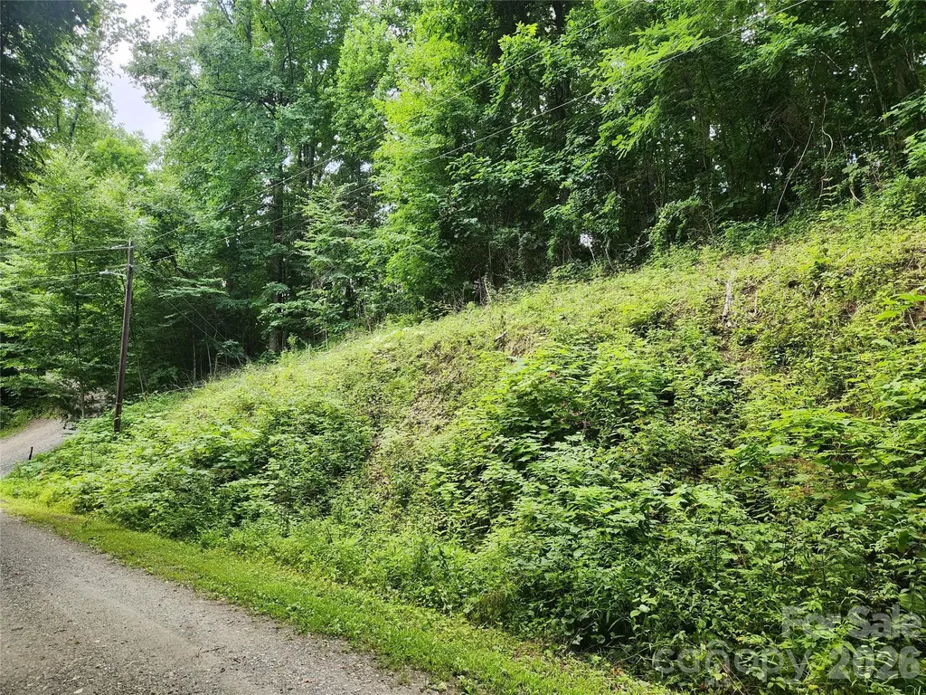 000 Jacks Knob Road Weaverville NC 28787