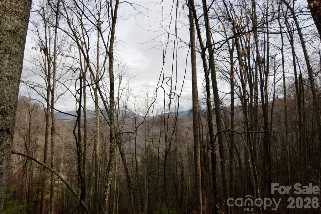 000 Jacks Knob Road Weaverville NC 28787