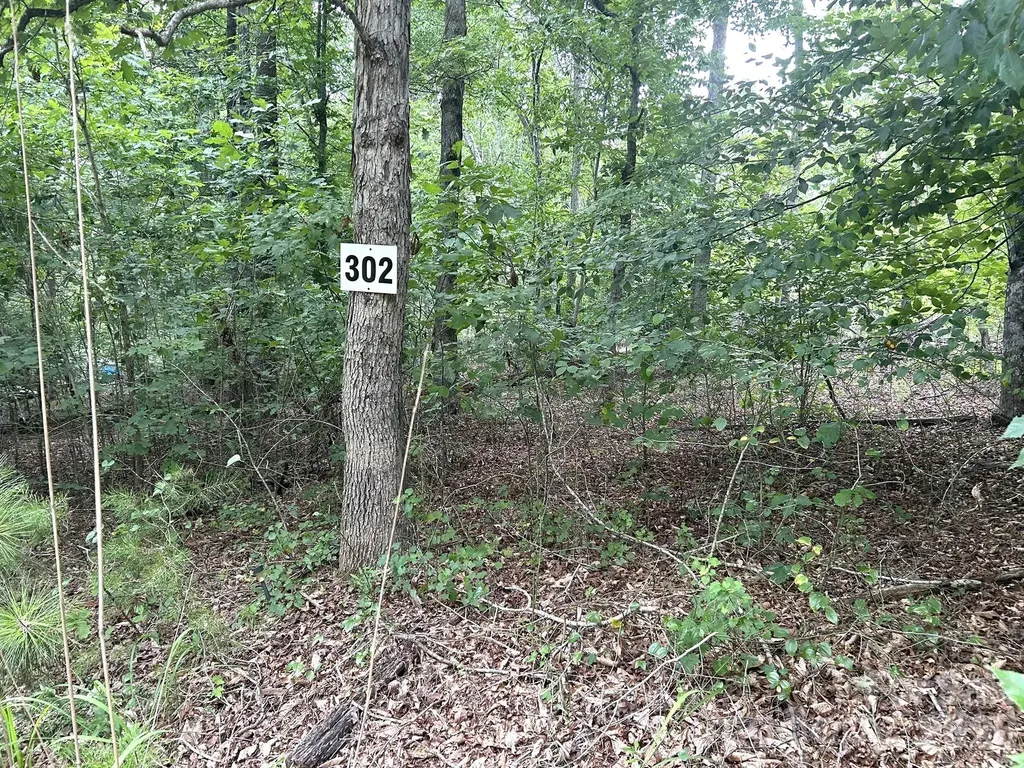 00 Bitteroot Circle Rutherfordton NC 28139