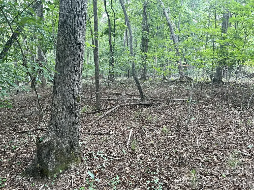 00 Bitteroot Circle Rutherfordton NC 28139
