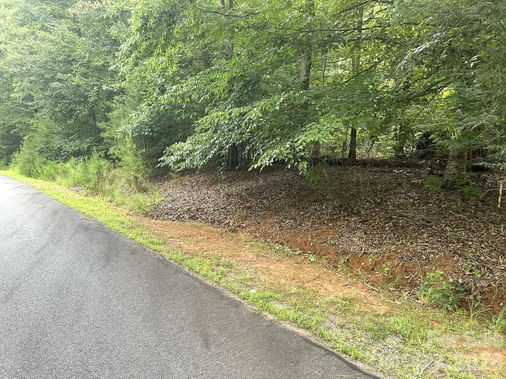 00 Bitteroot Circle Rutherfordton NC 28139