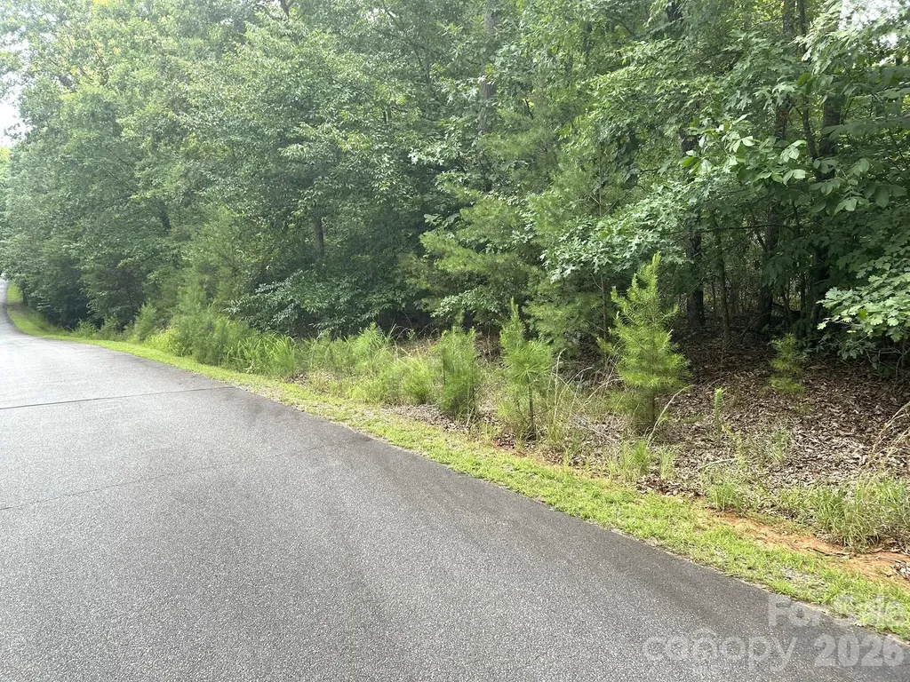 00 Bitteroot Circle Rutherfordton NC 28139