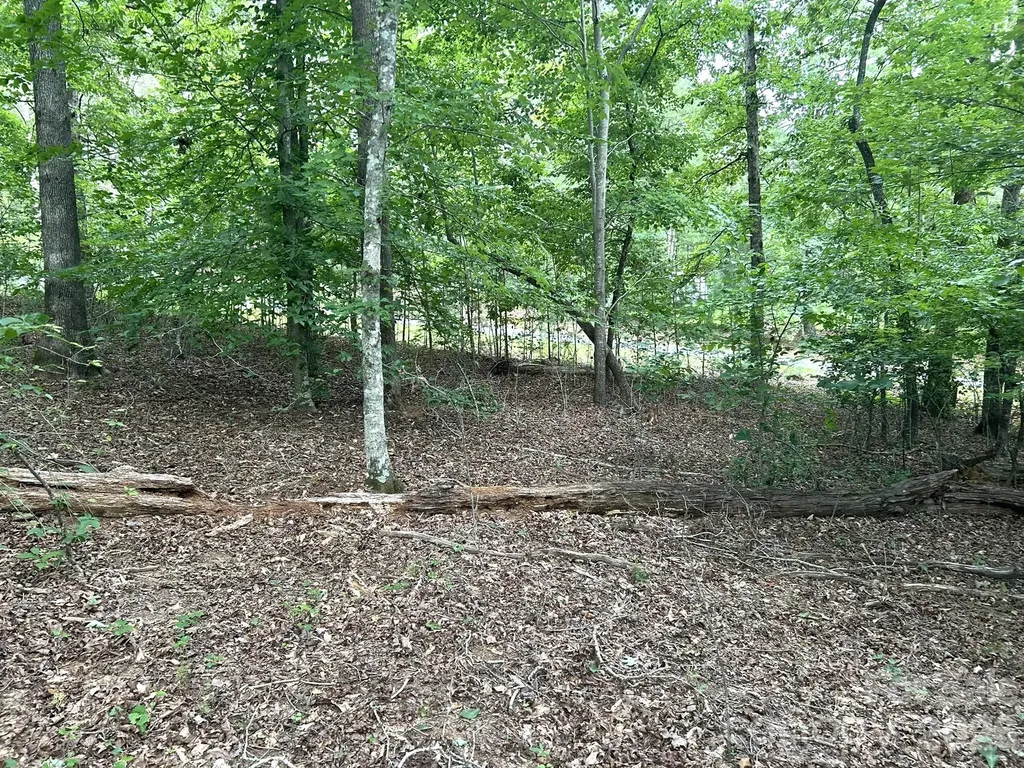 00 Bitteroot Circle Rutherfordton NC 28139